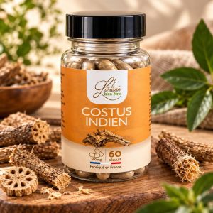 Costus Indien - 60 gélules végétales